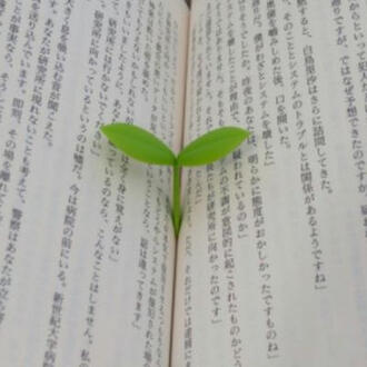 Seishun Sick by Fujii Kaze